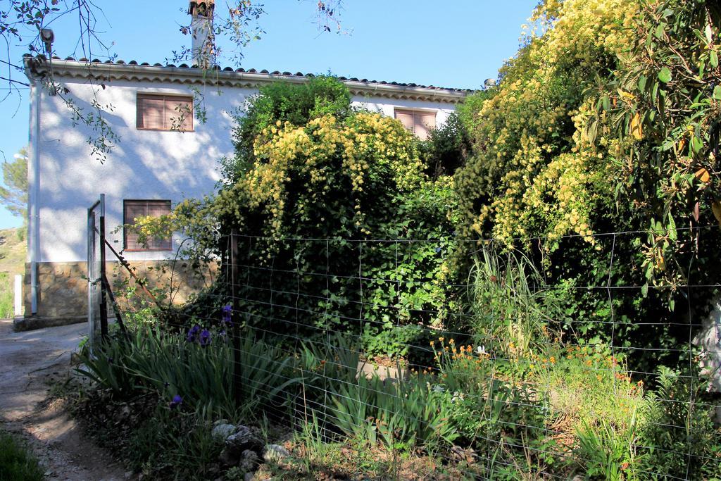 Villa Mesoncillo Neo à Hornos Extérieur photo