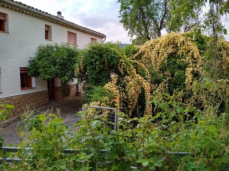 Villa Mesoncillo Neo à Hornos Extérieur photo