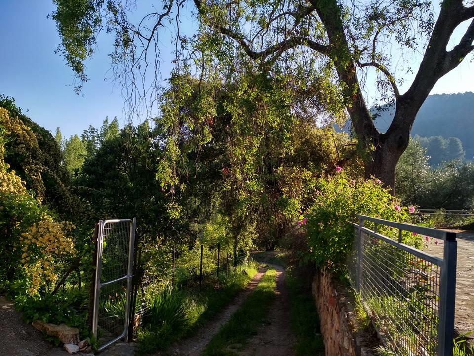 Villa Mesoncillo Neo à Hornos Extérieur photo